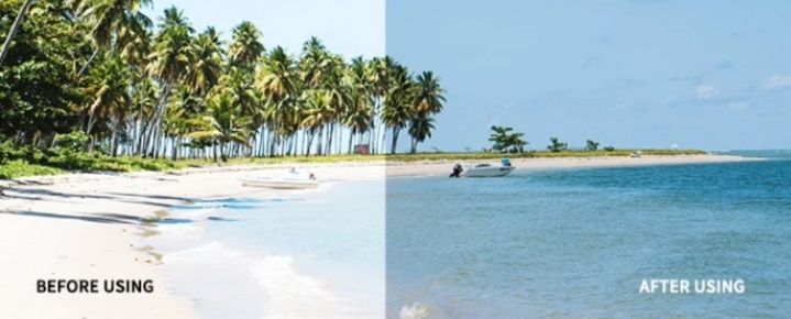 드림폭스 아이웨어